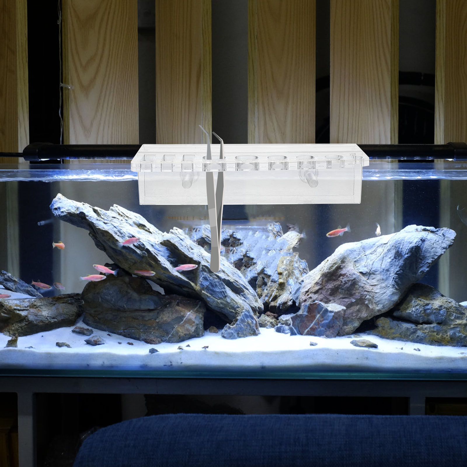 حامل أدوات حوض السمك من الأكري - مراجعة Aquarium Planted Wall وسعره
