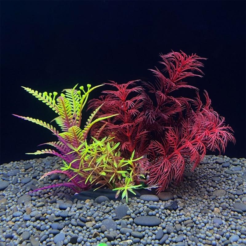 حوض السمك الاصطناعي الديكور نب - مراجعة Planted Aquarium Best Fish وسعره