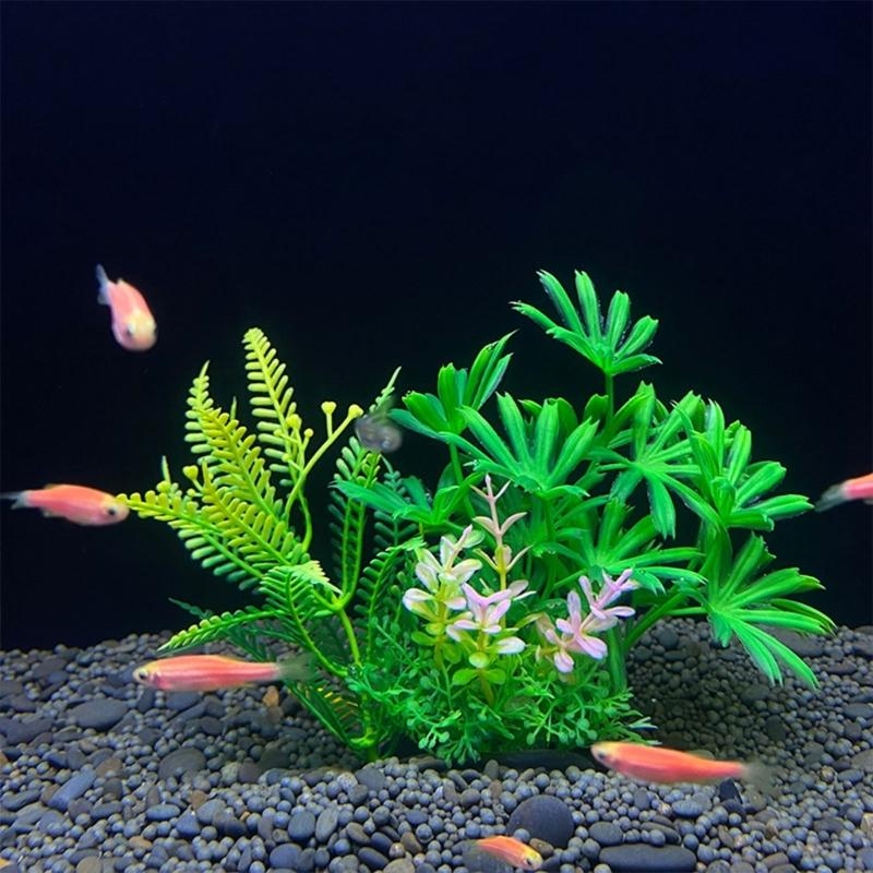 حوض السمك الاصطناعي الديكور نب - مراجعة Planted Aquarium Best Fish وسعره