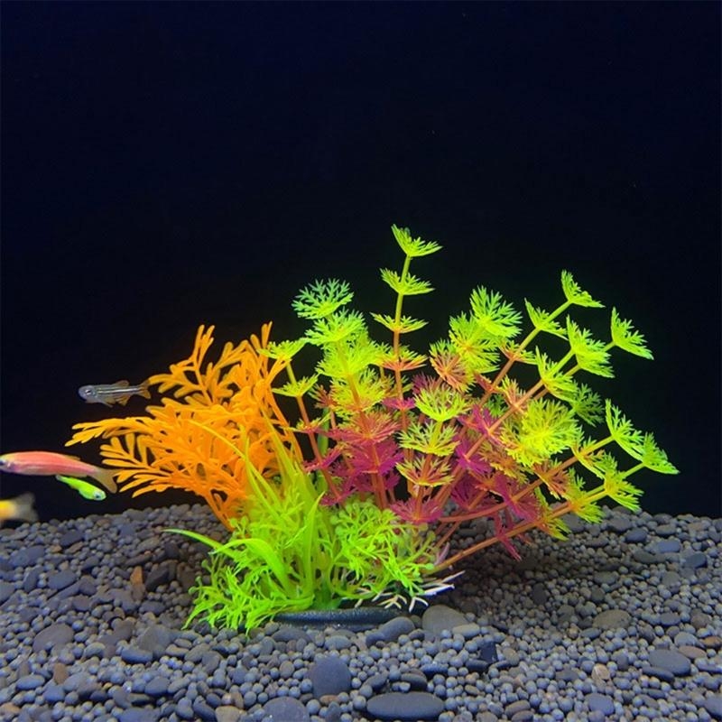 حوض السمك الاصطناعي الديكور نب - مراجعة Planted Aquarium Best Fish وسعره