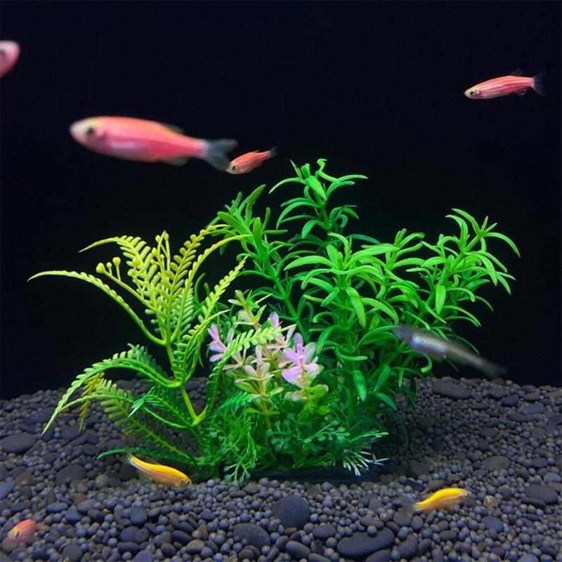 حوض السمك الاصطناعي الديكور نب - مراجعة Planted Aquarium Best Fish وسعره