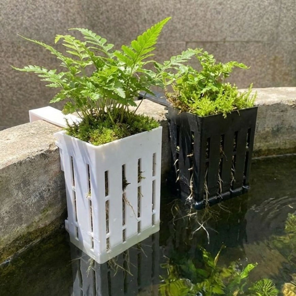 سلة نباتات مائية معلقة على الح - مراجعة Aquarium Planted Wall وسعره