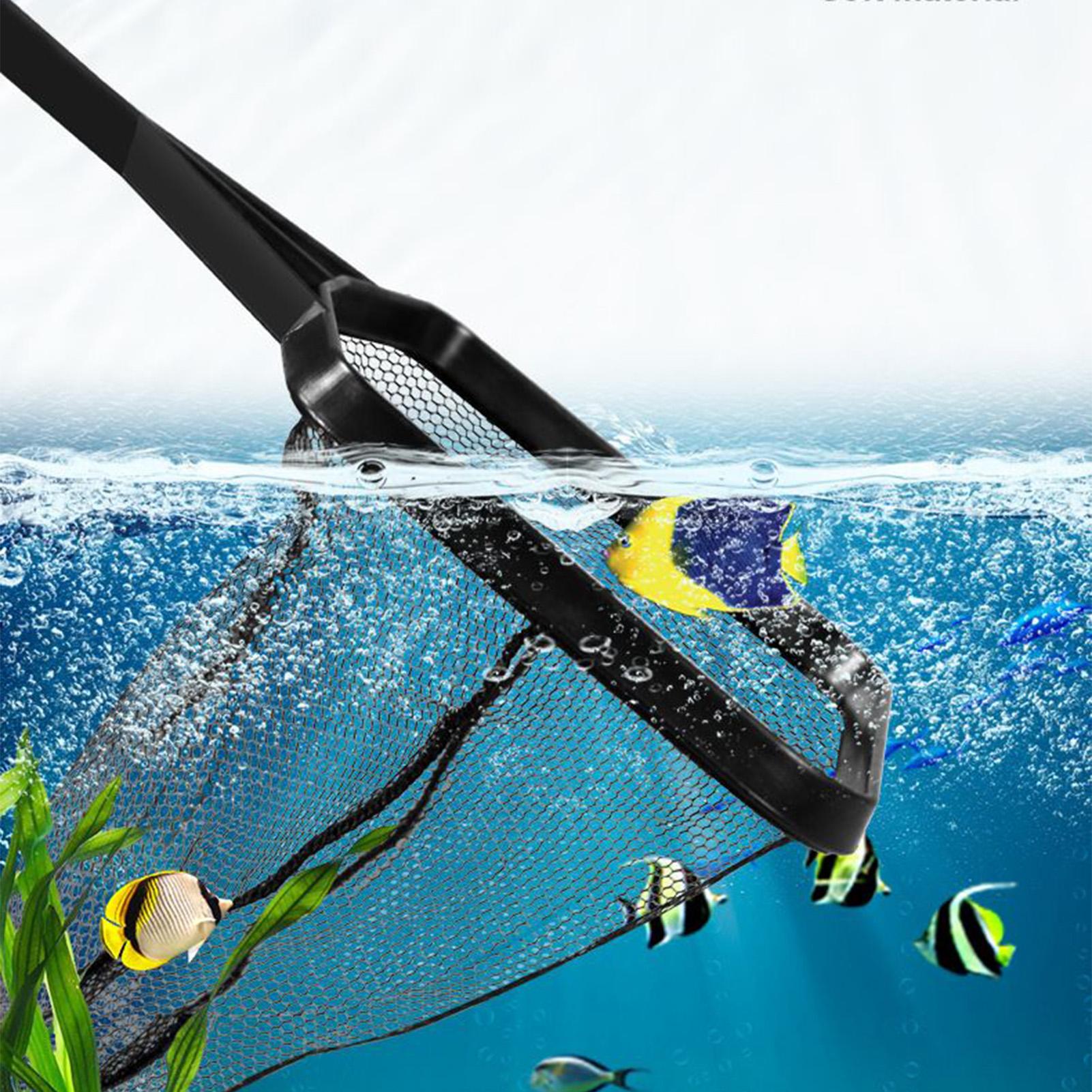 شبكة حمام السباحة، شبكة إنقاذ  - مراجعة Planted Aquarium Cleaning وسعره
