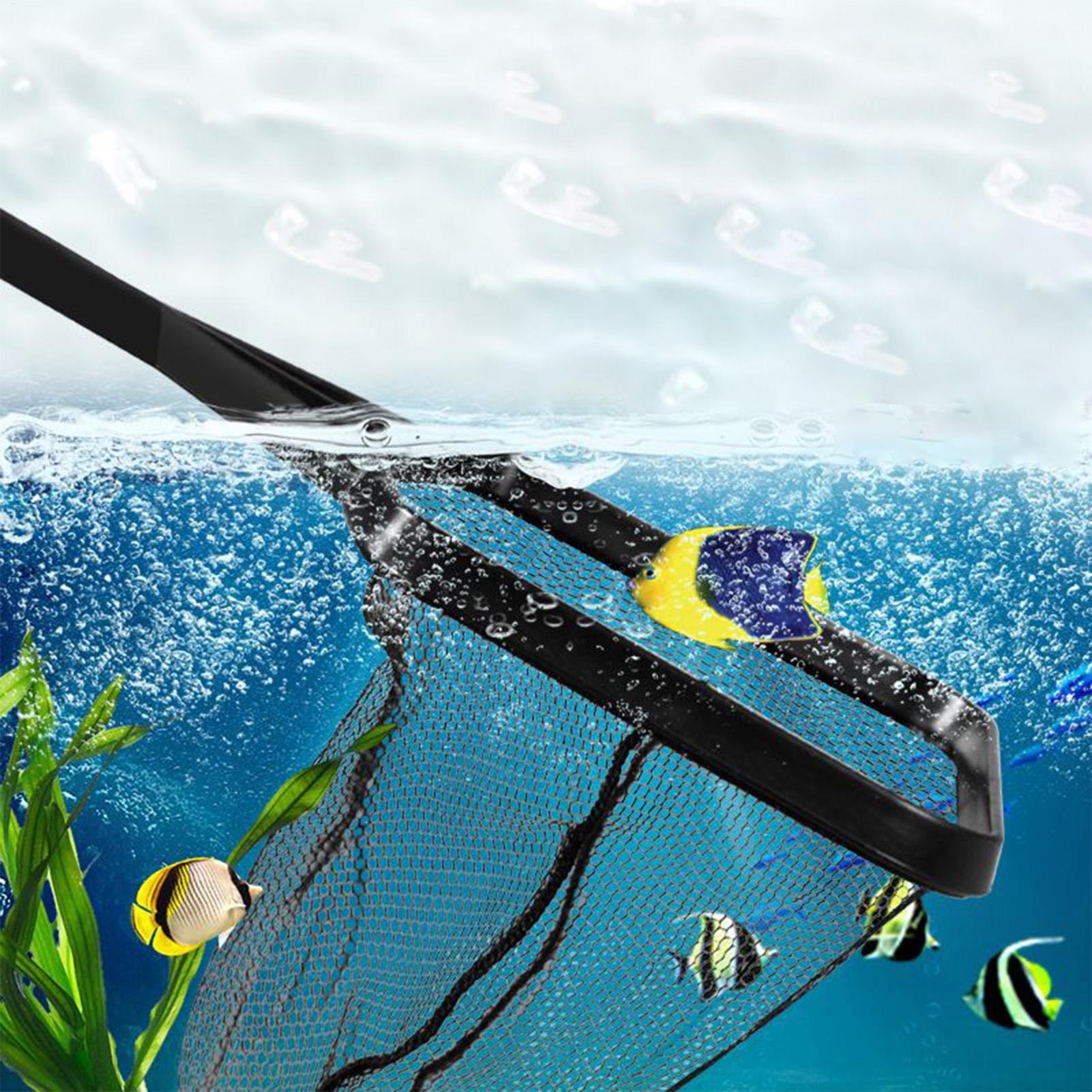 شبكة حمام السباحة، شبكة إنقاذ  - مراجعة Planted Aquarium Cleaning وسعره