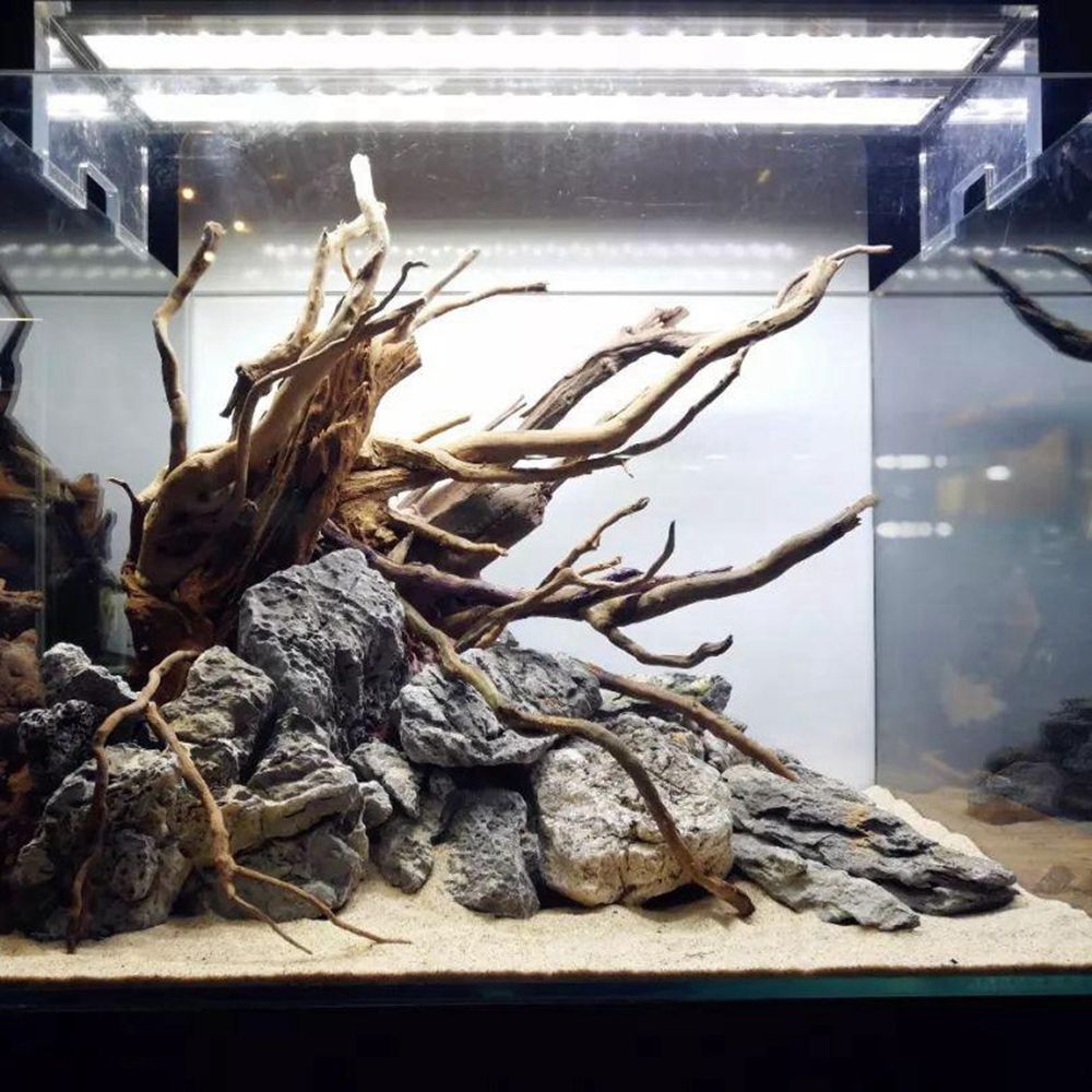 خشب N1N طبيعي لتزيين خلفية حوض - مراجعة Aquarium Planted Background وسعره