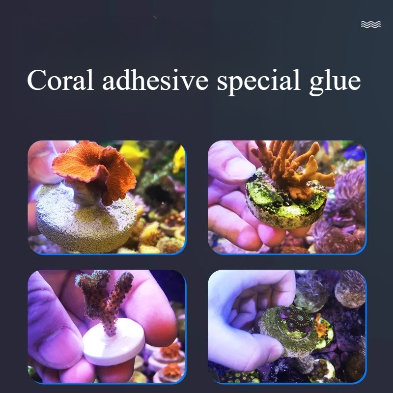 SPS LPS المرجان الشعاب المرجان - مراجعة Aquarium Plant Glue Gel وسعره