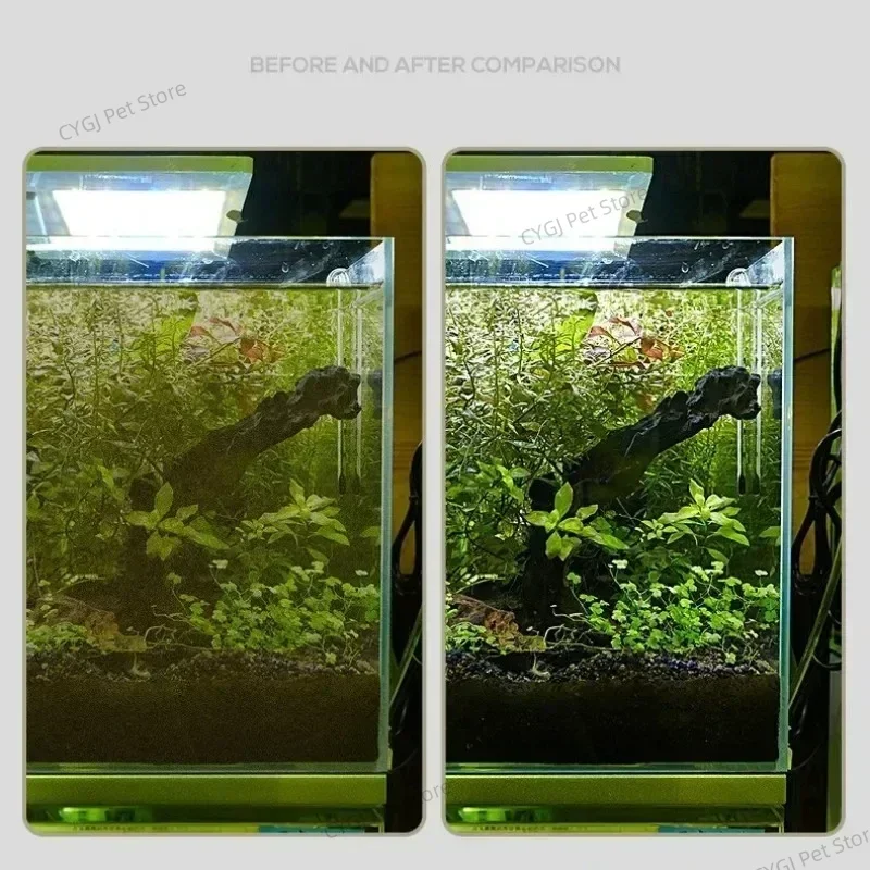 أداة تنظيف خزان الأسماك إزالة  - مراجعة Planted Aquarium Cleaning وسعره