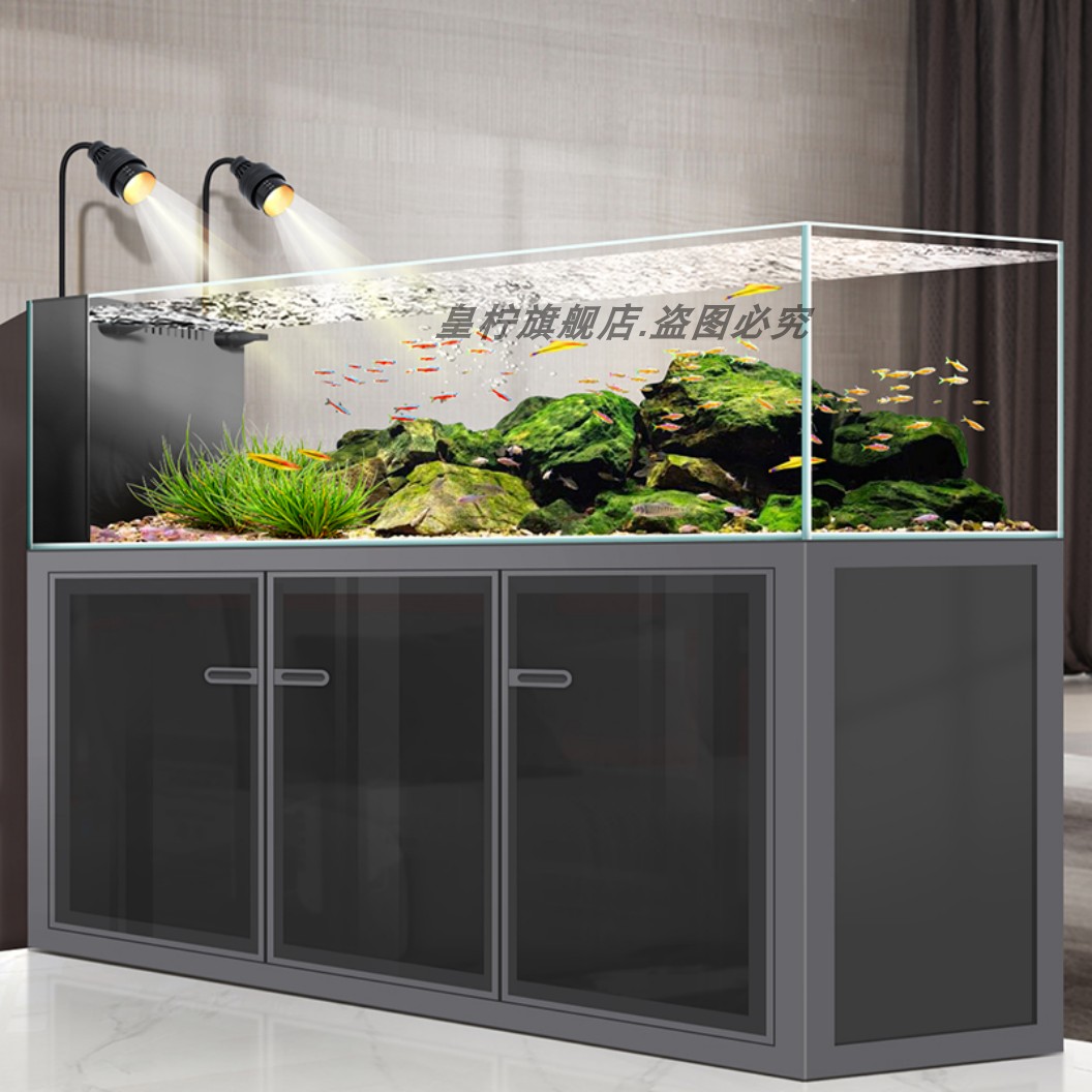 حوض أسماك Yjq الصناعي بتدفق هو - مراجعة Aquarium Plant Echinodorus وسعره