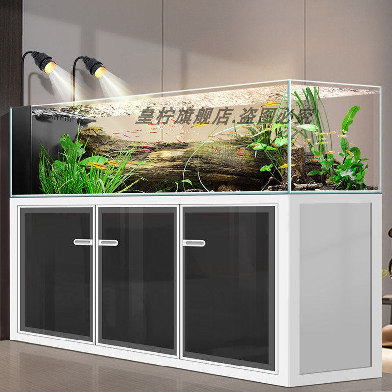 حوض أسماك Yjq الصناعي بتدفق هو - مراجعة Aquarium Plant Echinodorus وسعره
