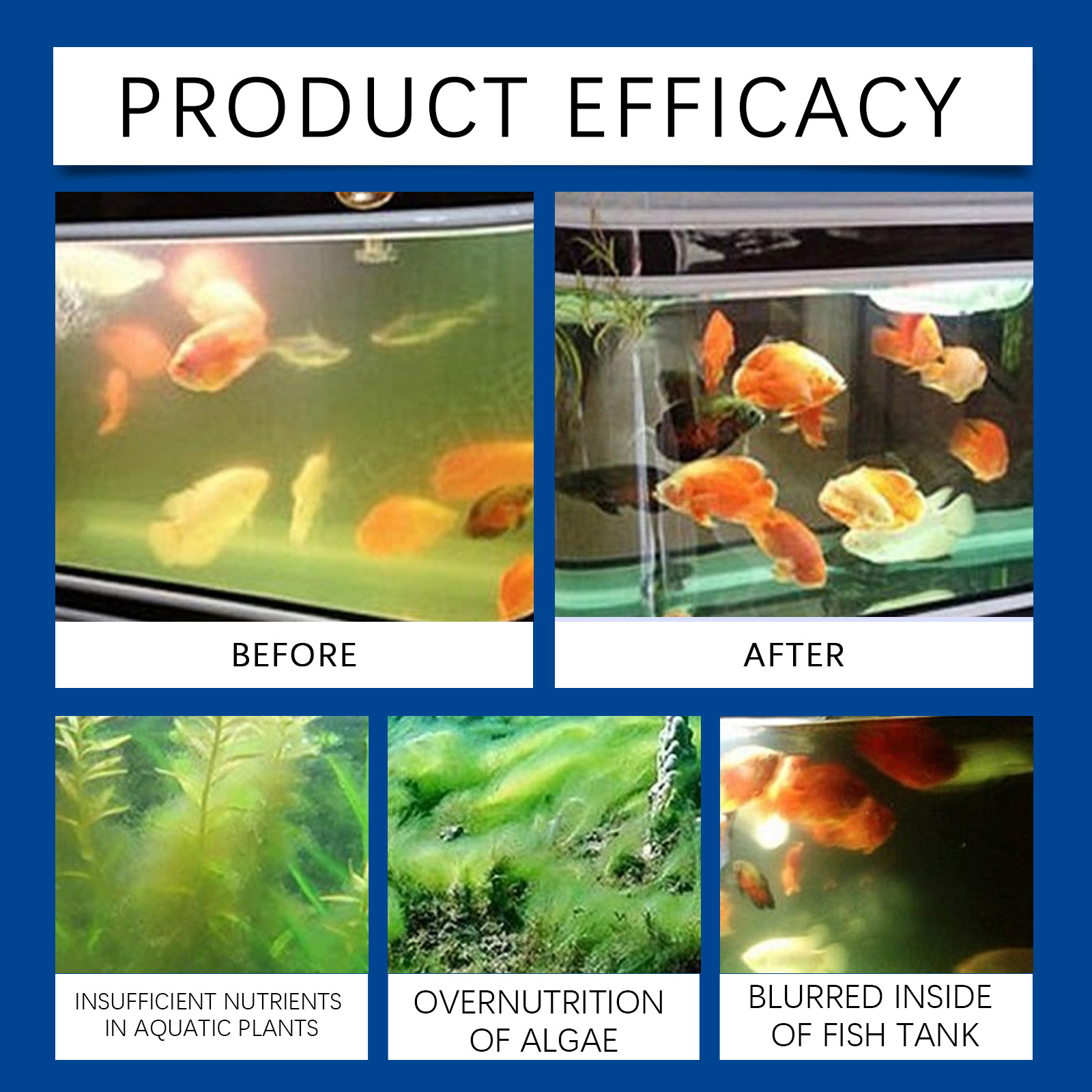 حوض السمك المياه توضيح 100 ملل - مراجعة Planted Aquarium Cleaning وسعره