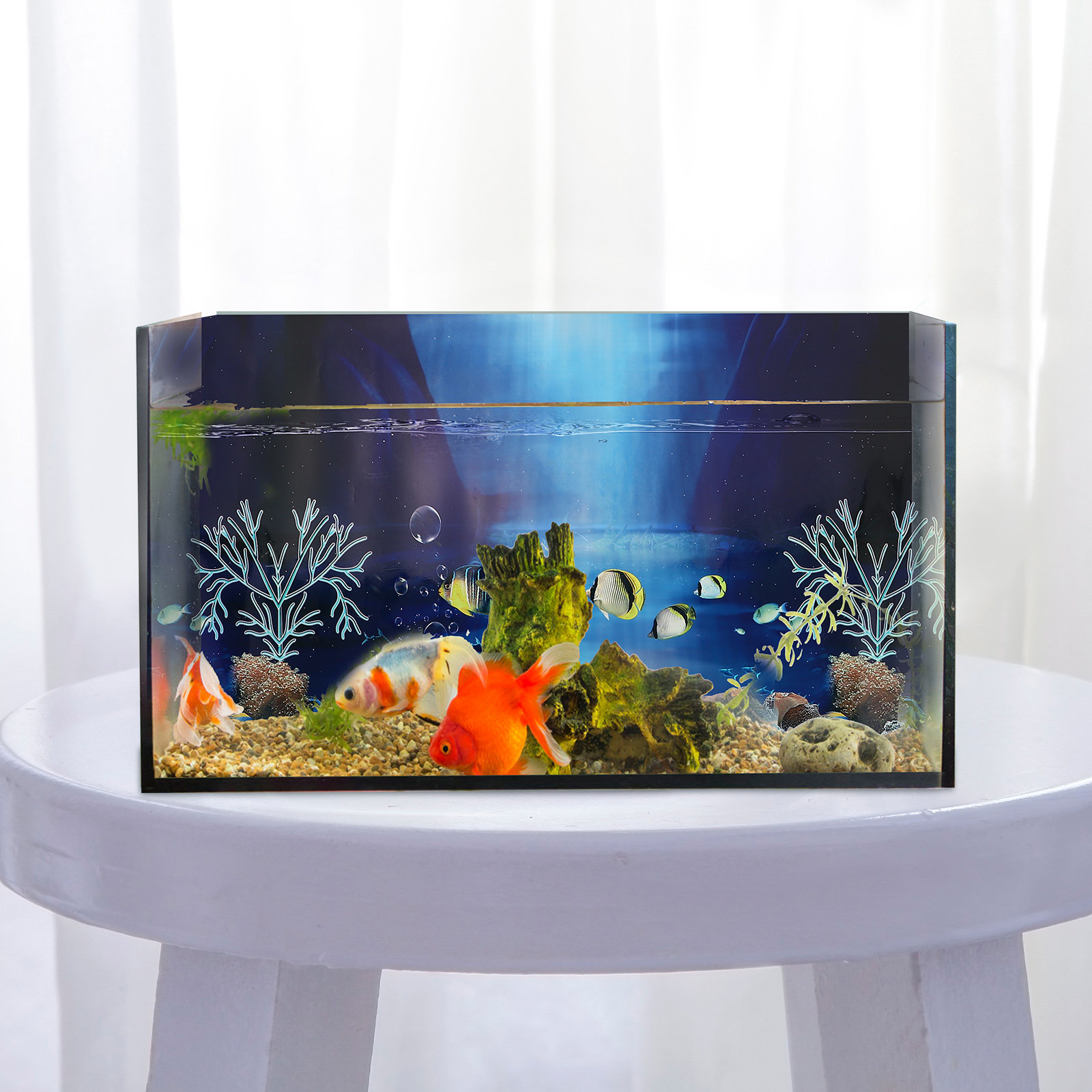 ملصق خلفية لحوض السمك ثلاثي ال - مراجعة Aquarium Planted Background وسعره