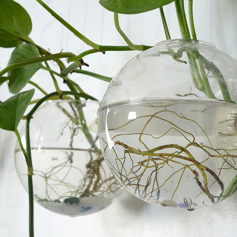الجدار شنقا وعاء السمك الاكريل - مراجعة Aquarium Planted Wall وسعره