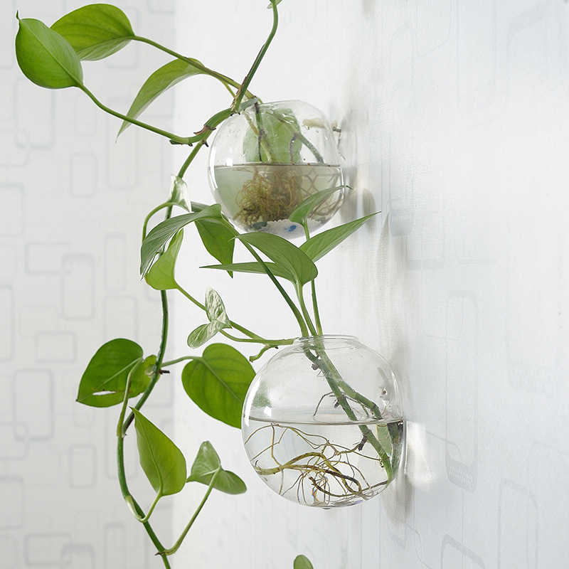 الجدار شنقا وعاء السمك الاكريل - مراجعة Aquarium Planted Wall وسعره