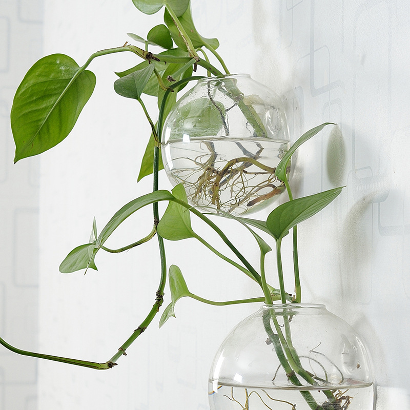 الجدار شنقا وعاء السمك الاكريل - مراجعة Aquarium Planted Wall وسعره