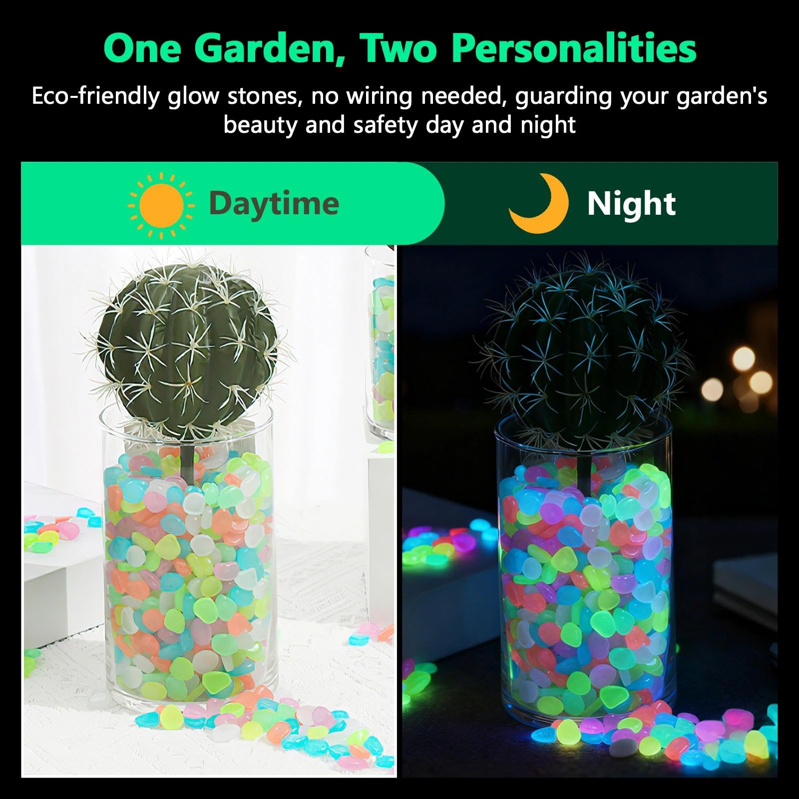 حصى متوهج في الظلام للنباتات ا - مراجعة Aquarium Planted Plants وسعره