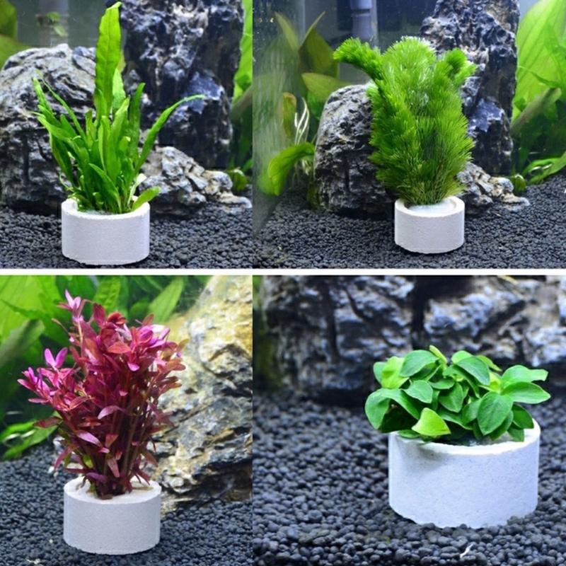 37ME 10 قطعة حوض السمك النبات  - مراجعة Aquarium Planted Background وسعره