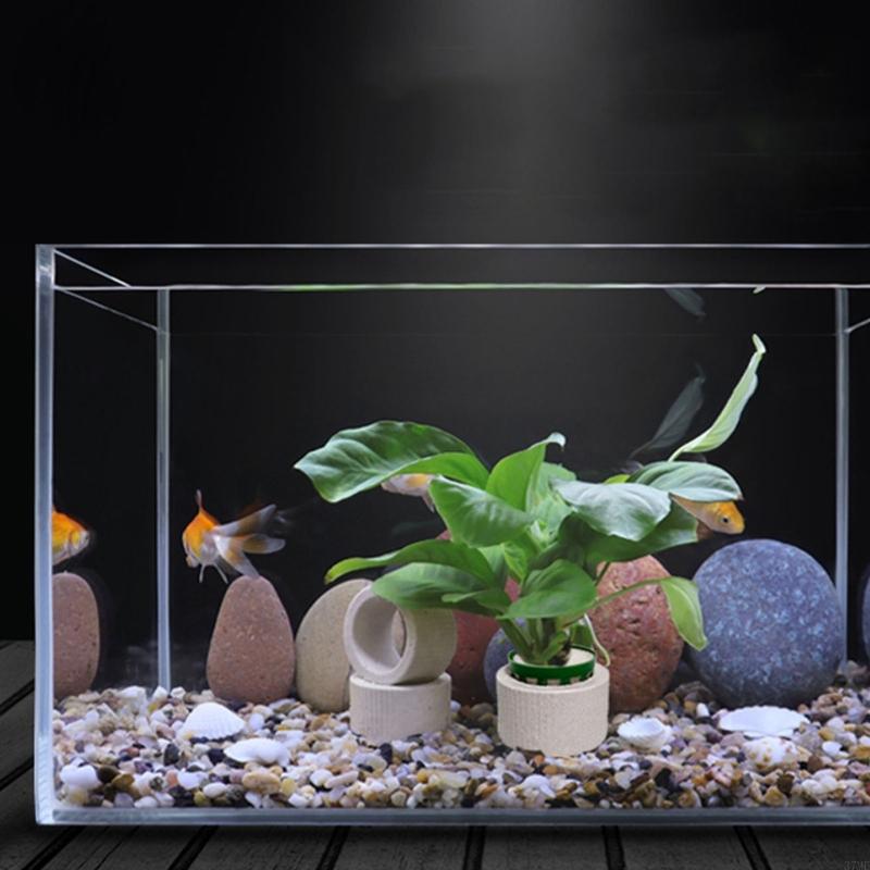 37ME 10 قطعة حوض السمك النبات  - مراجعة Aquarium Planted Background وسعره