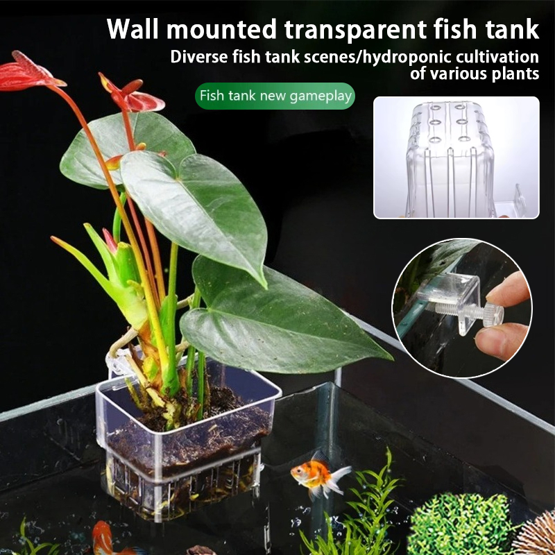 أكواب زرع معلقة للأحواض المائي - مراجعة Aquarium Planted Wall وسعره