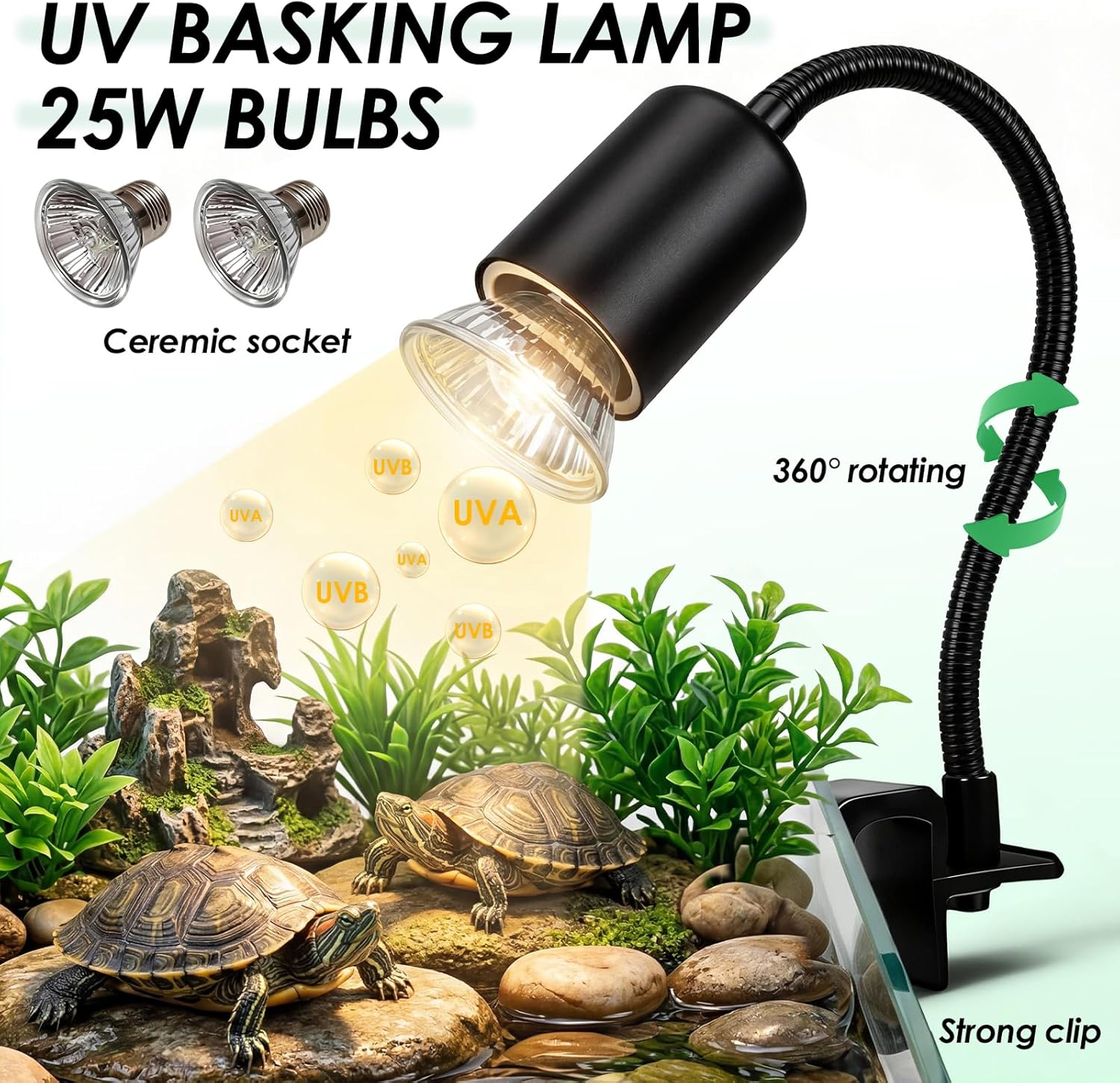 مجموعة أدوات تربية السلاحف، حو - مراجعة Planted Aquarium Starter Kit وسعره