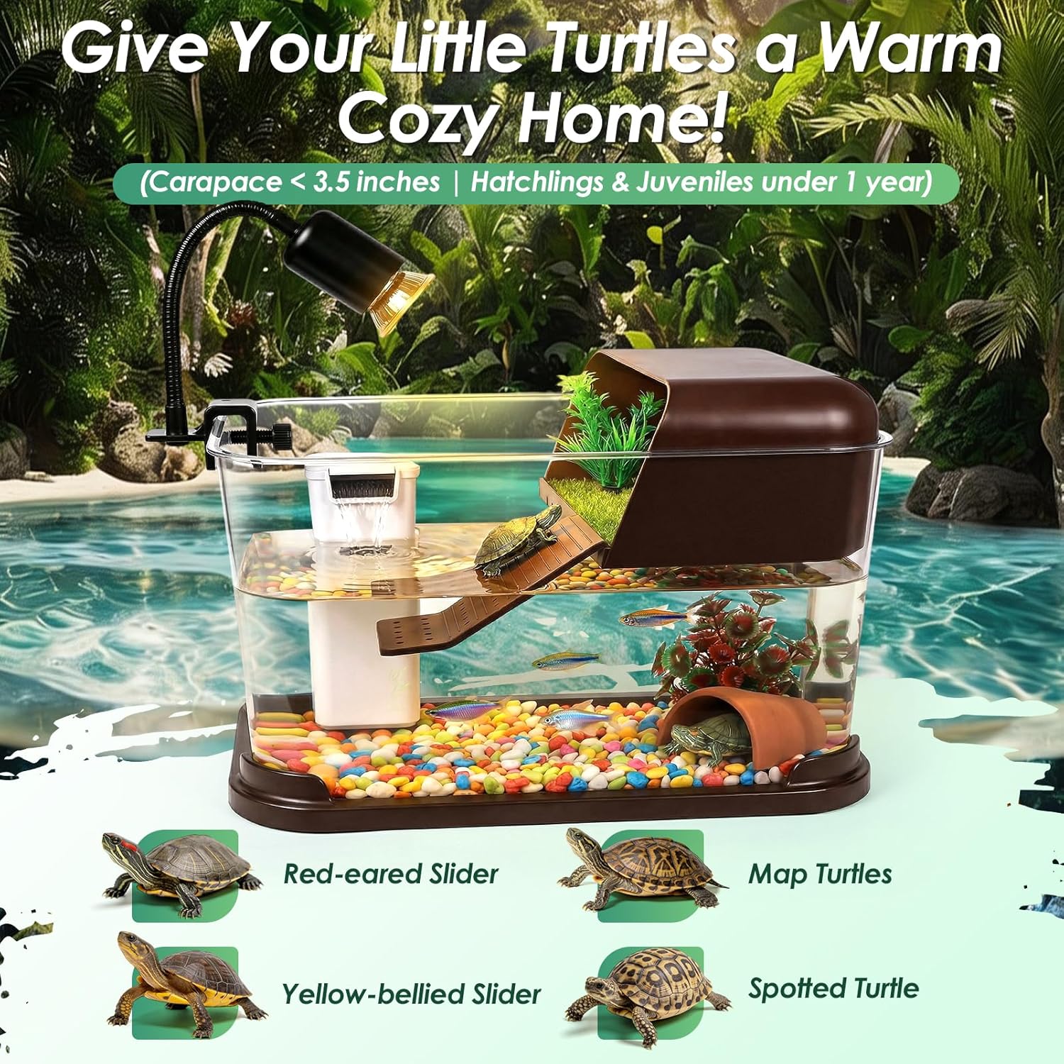 مجموعة أدوات تربية السلاحف، حو - مراجعة Planted Aquarium Starter Kit وسعره