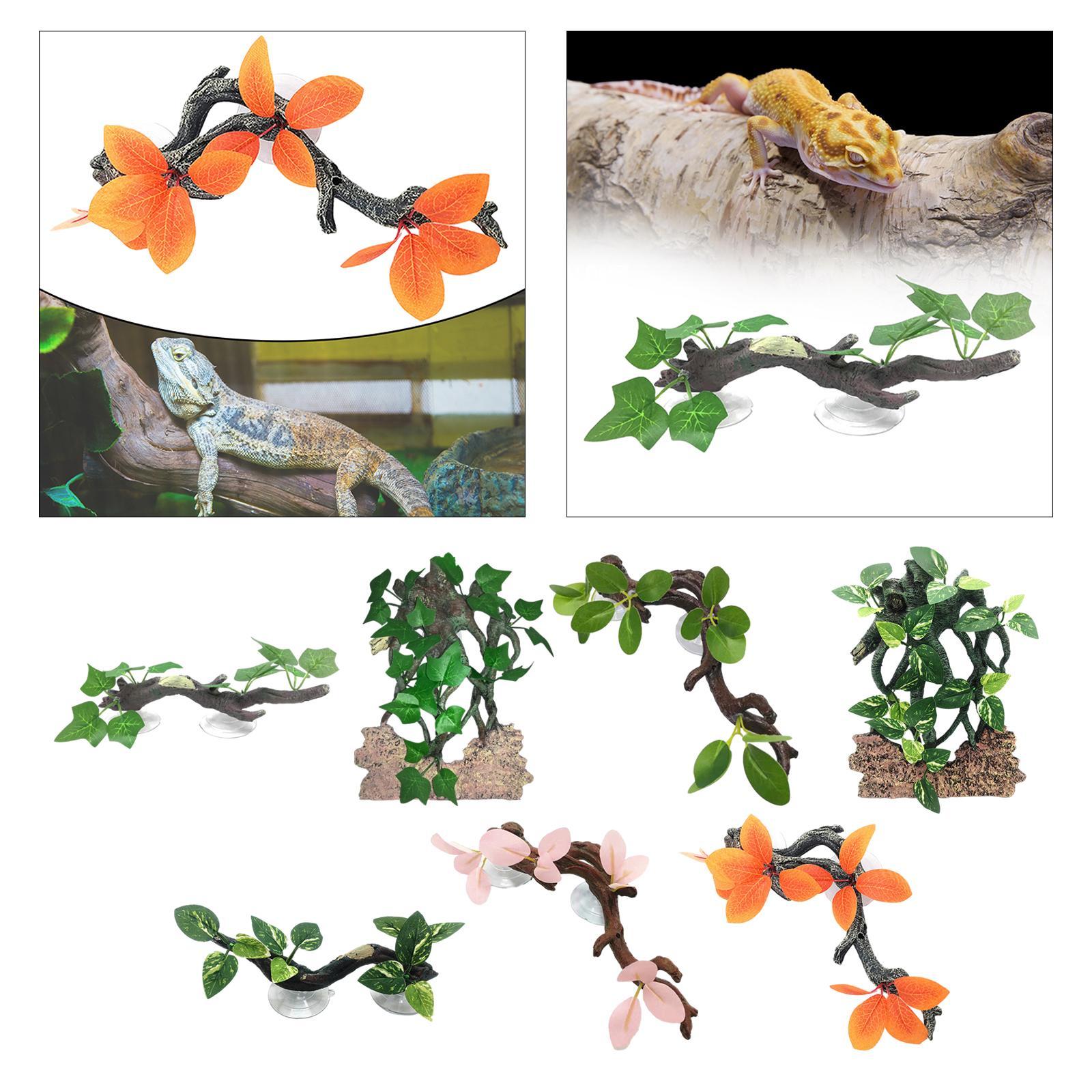 زخرفة محاكاة نبات جيكو ، خلفية - مراجعة Aquarium Planted Background وسعره