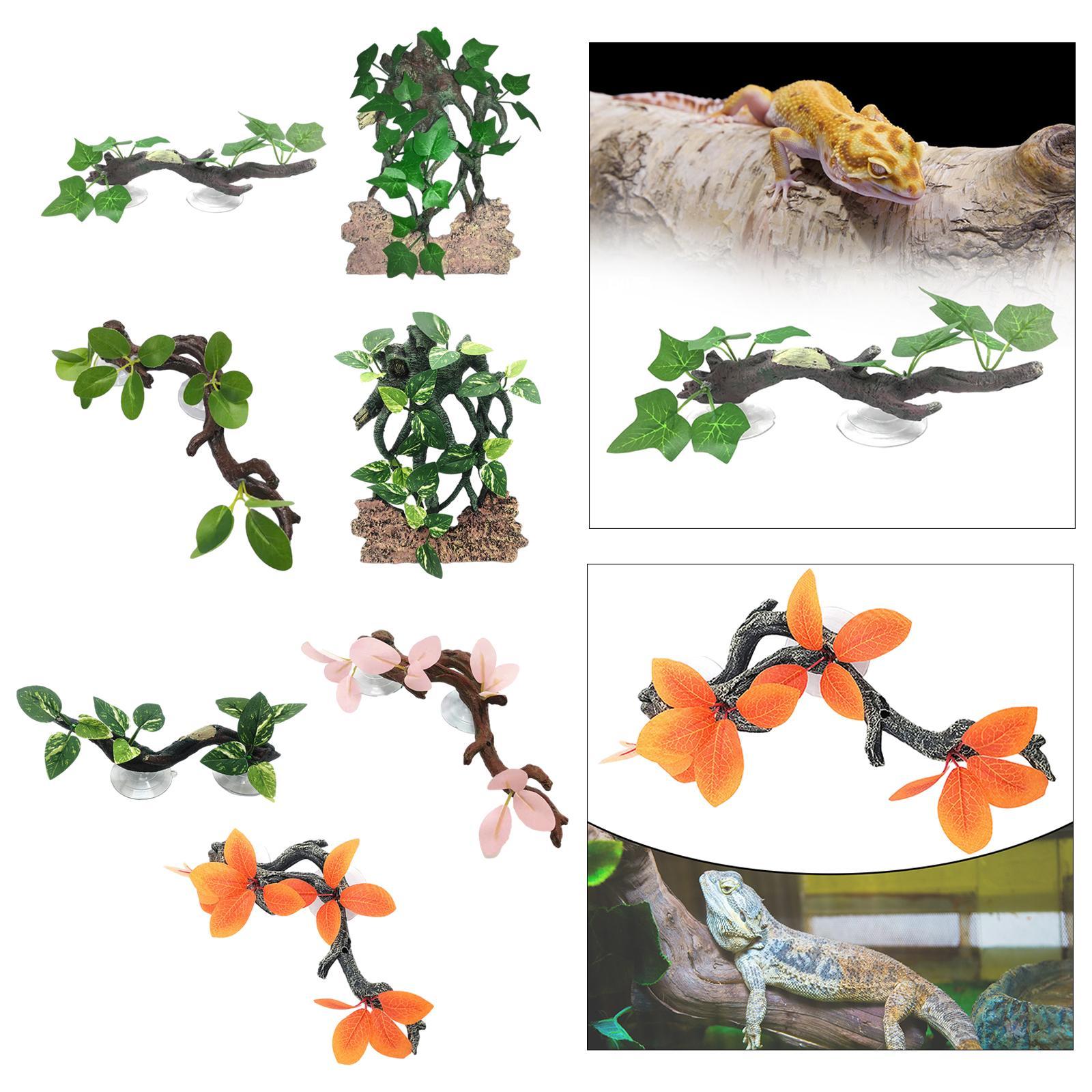 زخرفة محاكاة نبات جيكو ، خلفية - مراجعة Aquarium Planted Background وسعره