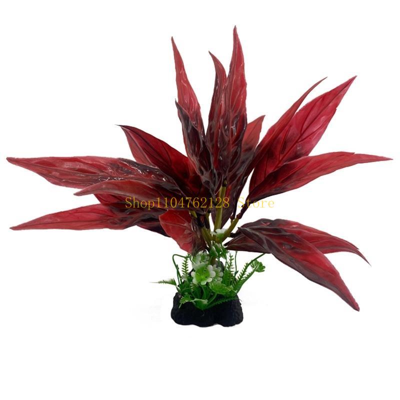 حوض السمك النباتات المائية الب - مراجعة Planted Aquarium Best Fish وسعره