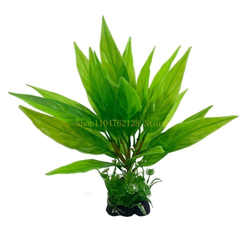 حوض السمك النباتات المائية الب - مراجعة Planted Aquarium Best Fish وسعره