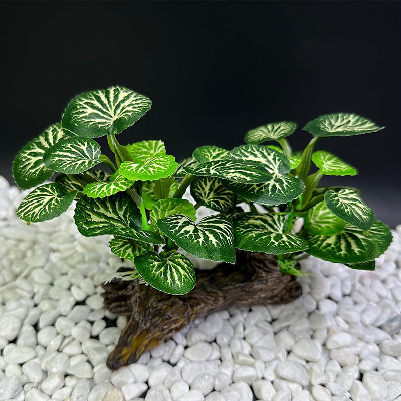 العشب الاصطناعي تحت الماء حوض  - مراجعة Aquarium Planted Background وسعره