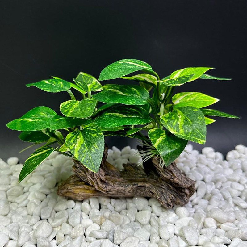 العشب الاصطناعي تحت الماء حوض  - مراجعة Aquarium Planted Background وسعره
