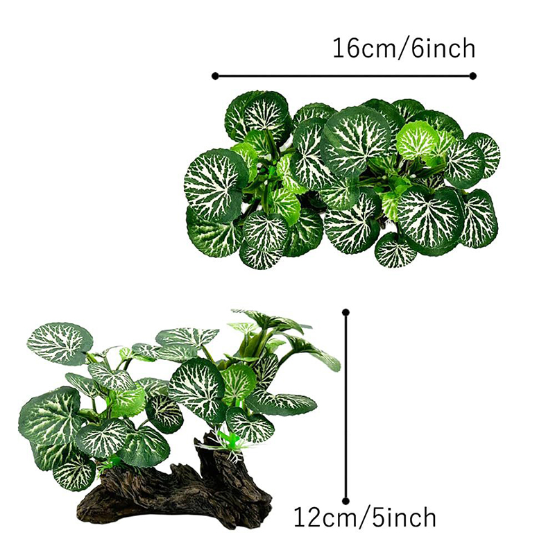 العشب الاصطناعي تحت الماء حوض  - مراجعة Aquarium Planted Background وسعره