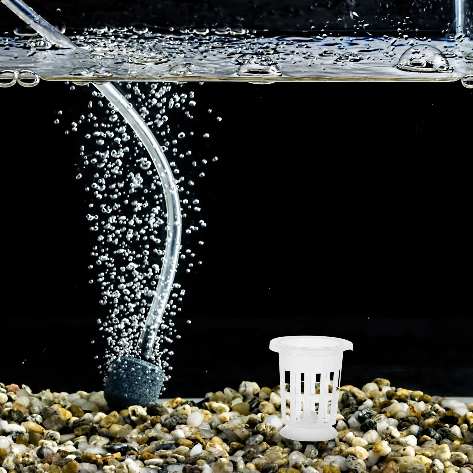 مجموعة واحدة من أوعية الزراعة  - مراجعة Aquarium Planted Plants وسعره