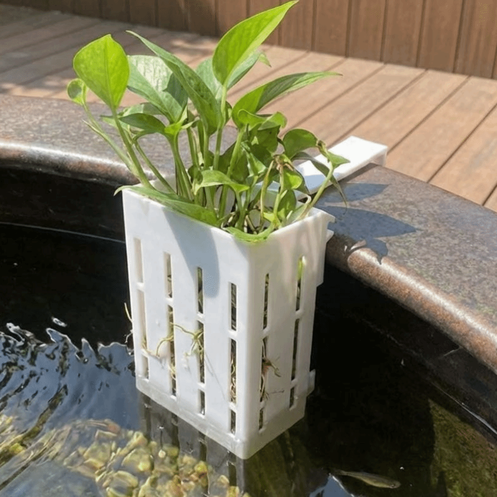 سلة نباتات معلقة على الحائط لأ - مراجعة Aquarium Planted Wall وسعره