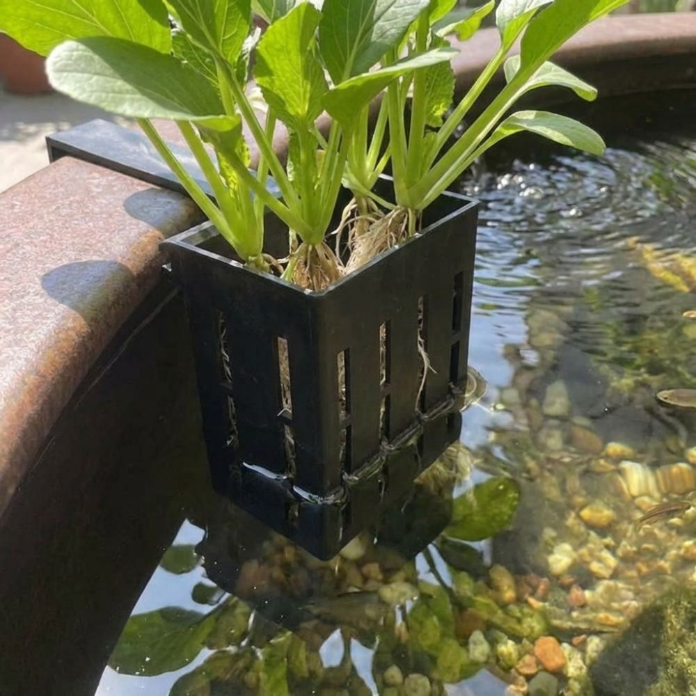 سلة نباتات معلقة على الحائط لأ - مراجعة Aquarium Planted Wall وسعره