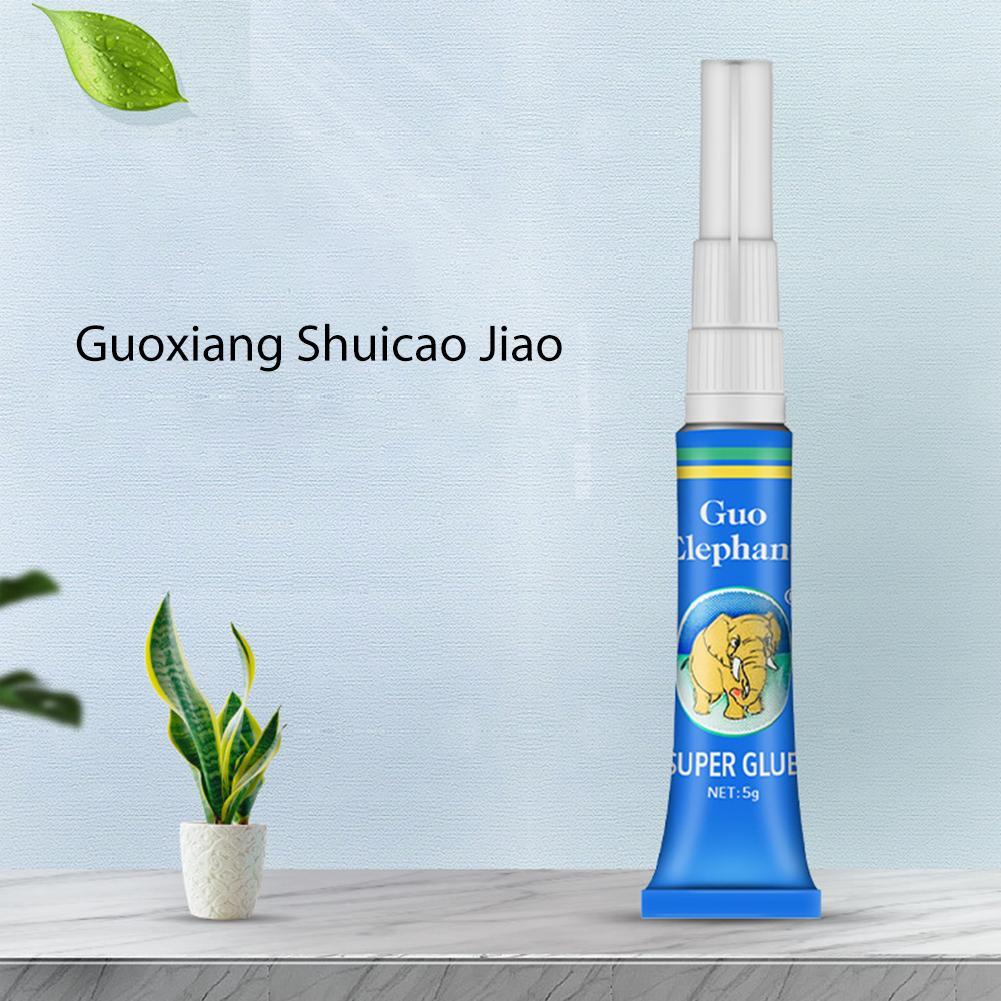 غراء تثبيت الطحالب والنباتات ا - مراجعة Aquarium Plant Glue Gel وسعره