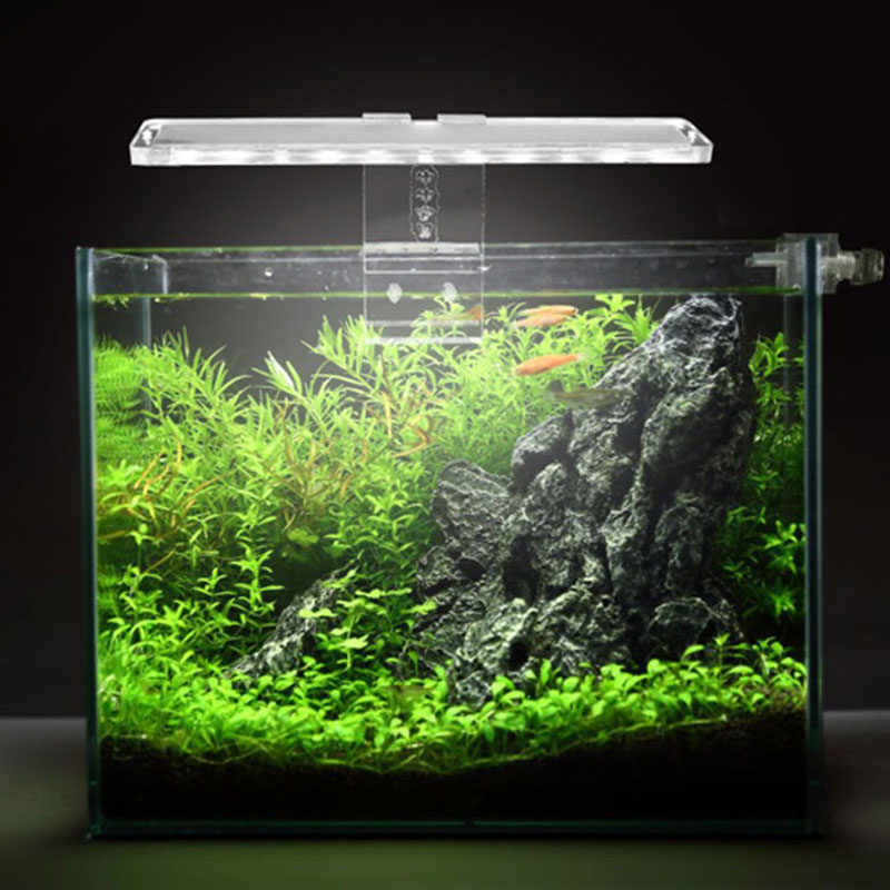 LED حوض السمك مصباح ضوء النبات - مراجعة Planted Aquarium Best Fish وسعره