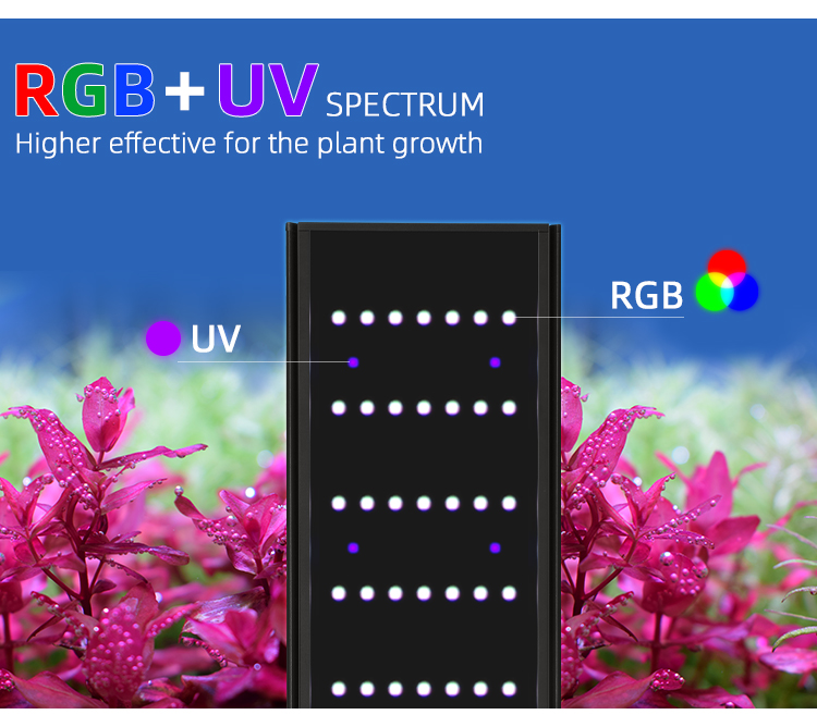 WEEK AQUA L Series APP التحكم  - مراجعة Aquarium Plant Display وسعره