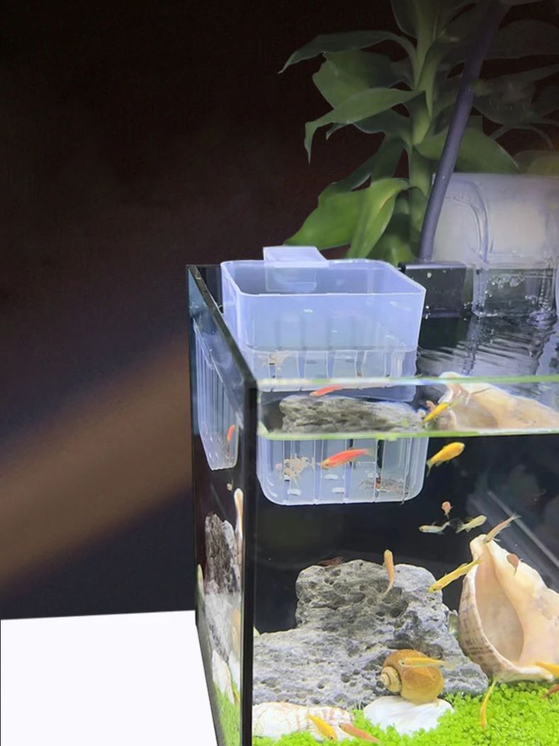 حامل نباتات طوارئ مثبت على الح - مراجعة Aquarium Planted Wall وسعره