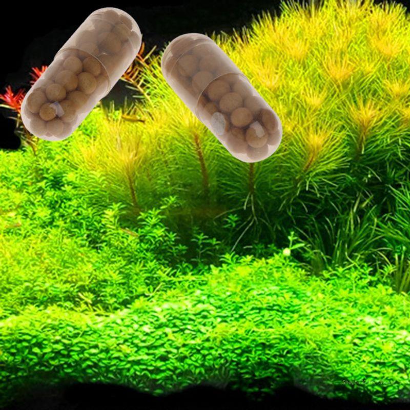 QX2E حوض السمك الأسمدة النباتي - مراجعة Planted Aquarium Best Fish وسعره