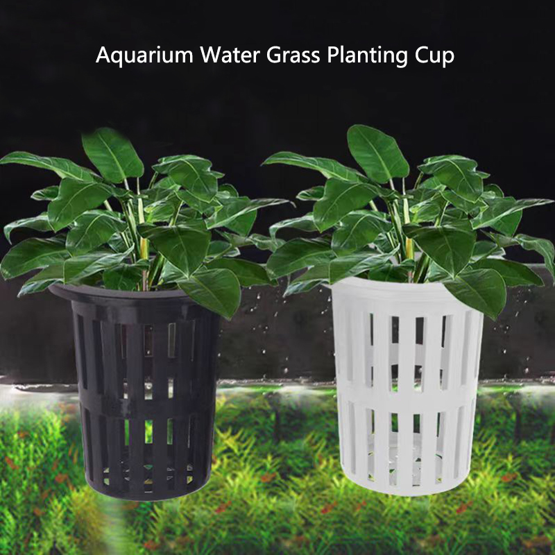 1/3 قطعة سلة نباتات حوض السمك  - مراجعة Aquarium Planted Wall وسعره