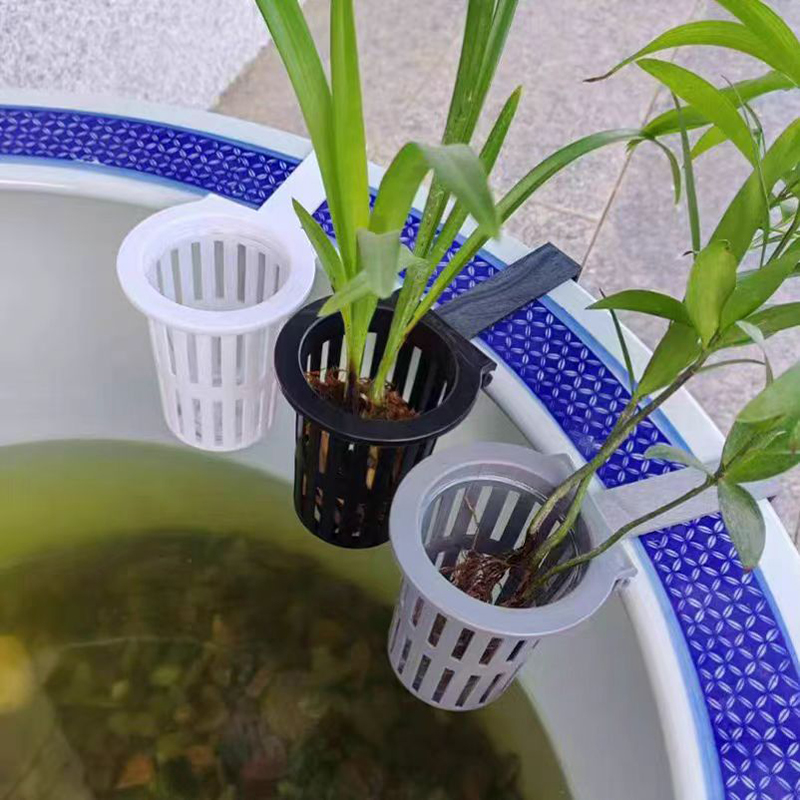 1/3 قطعة سلة نباتات حوض السمك  - مراجعة Aquarium Planted Wall وسعره