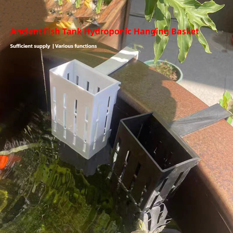 1/3 قطعة سلة نباتات حوض السمك  - مراجعة Aquarium Planted Wall وسعره