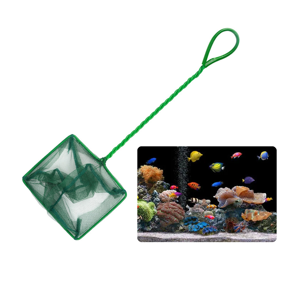 شبكة صيد السمك المحمولة المصنو - مراجعة Planted Aquarium Cleaning وسعره