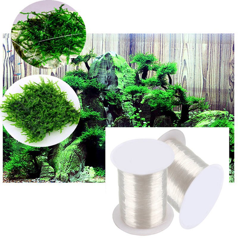 120 متر لتقوم بها بنفسك خط الط - مراجعة Aquarium Plant Echinodorus وسعره