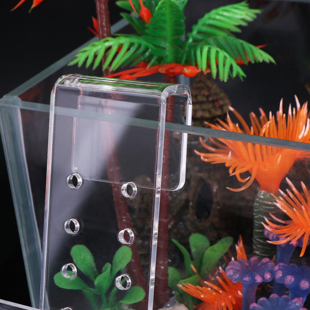 حامل نباتات مائية شفاف من الأك - مراجعة Aquarium Planted Wall وسعره