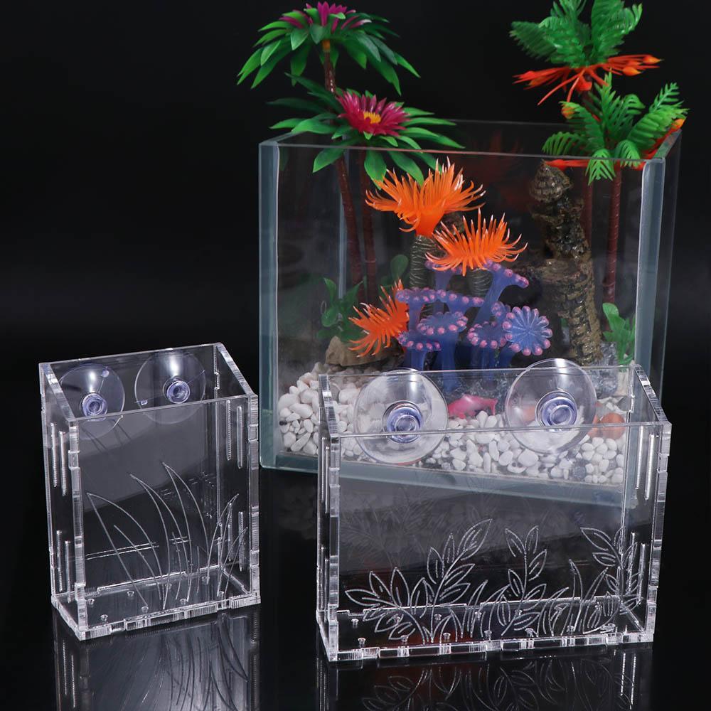 حامل نباتات مائية شفاف من الأك - مراجعة Aquarium Planted Wall وسعره