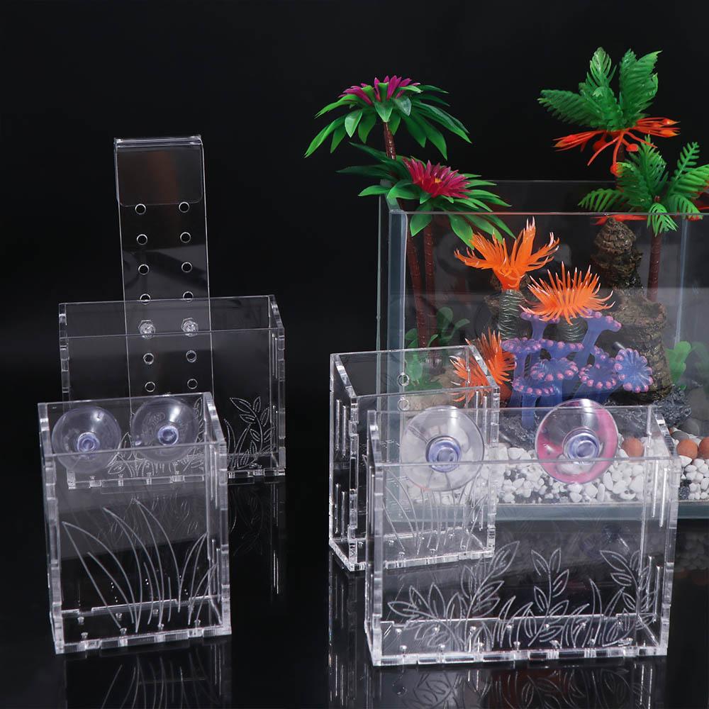 حامل نباتات مائية شفاف من الأك - مراجعة Aquarium Planted Wall وسعره