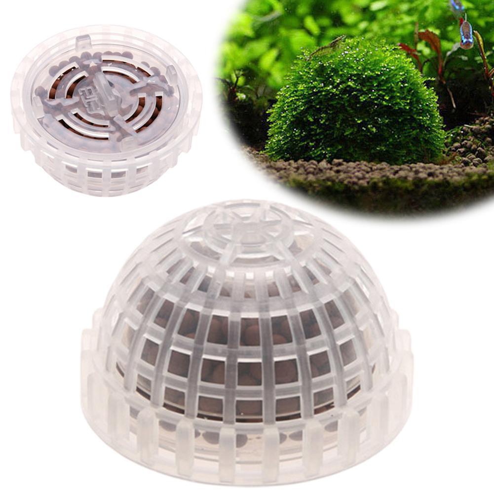 1 قطعة مستلزمات الحيوانات الأل - مراجعة Aquarium Plant Echinodorus وسعره