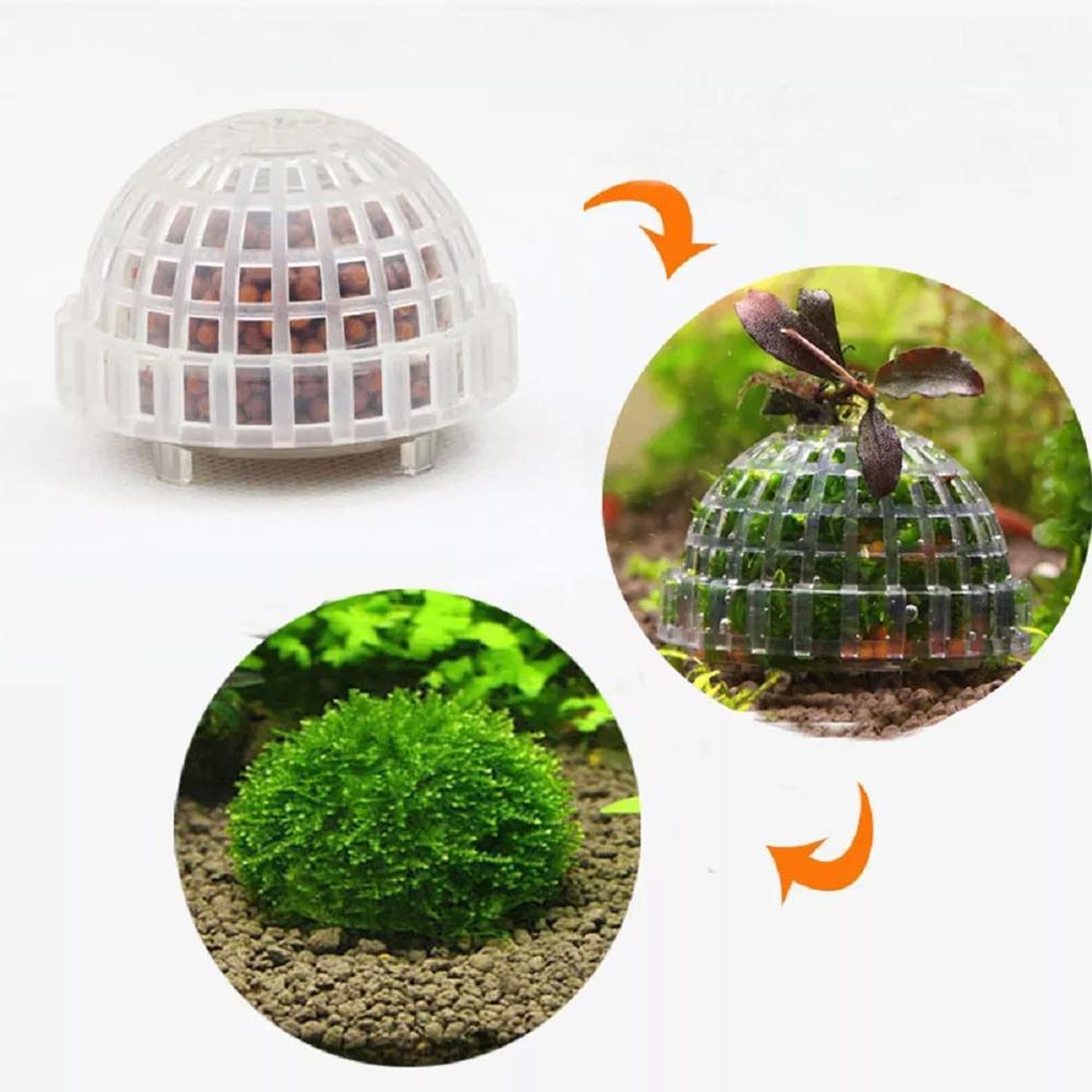 1 قطعة مستلزمات الحيوانات الأل - مراجعة Aquarium Plant Echinodorus وسعره