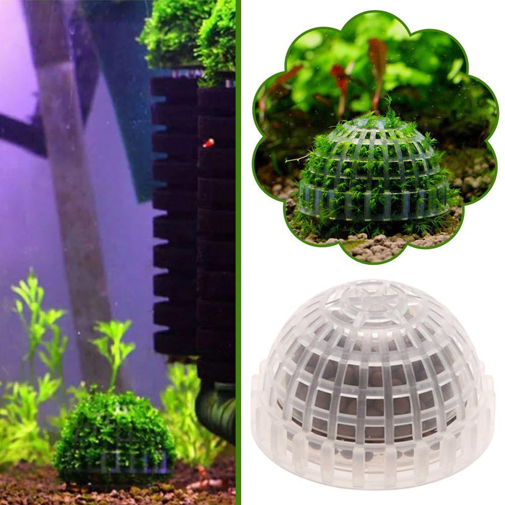 1 قطعة مستلزمات الحيوانات الأل - مراجعة Aquarium Plant Echinodorus وسعره